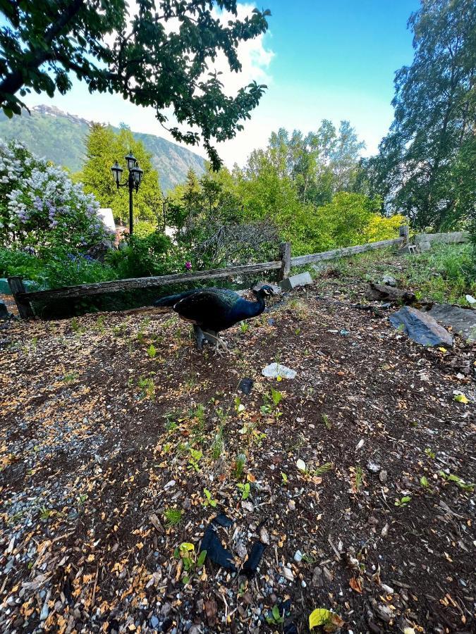 Indian Ak 25 Min To Anchorage & 25 Min To Girdwood Vila Exterior foto