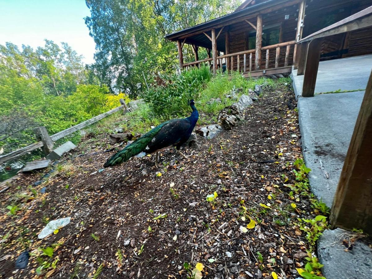 Indian Ak 25 Min To Anchorage & 25 Min To Girdwood Vila Exterior foto